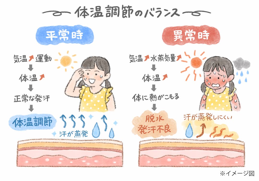 体温調節のバランスのイメージイラスト