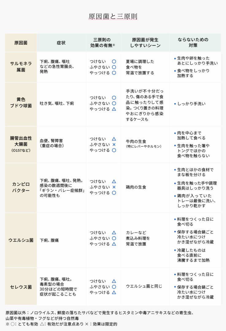 【食中毒の基礎知識】ならないための3原則って?原因と対策を解説【前編】|健康美塾|第一三共ヘルスケア