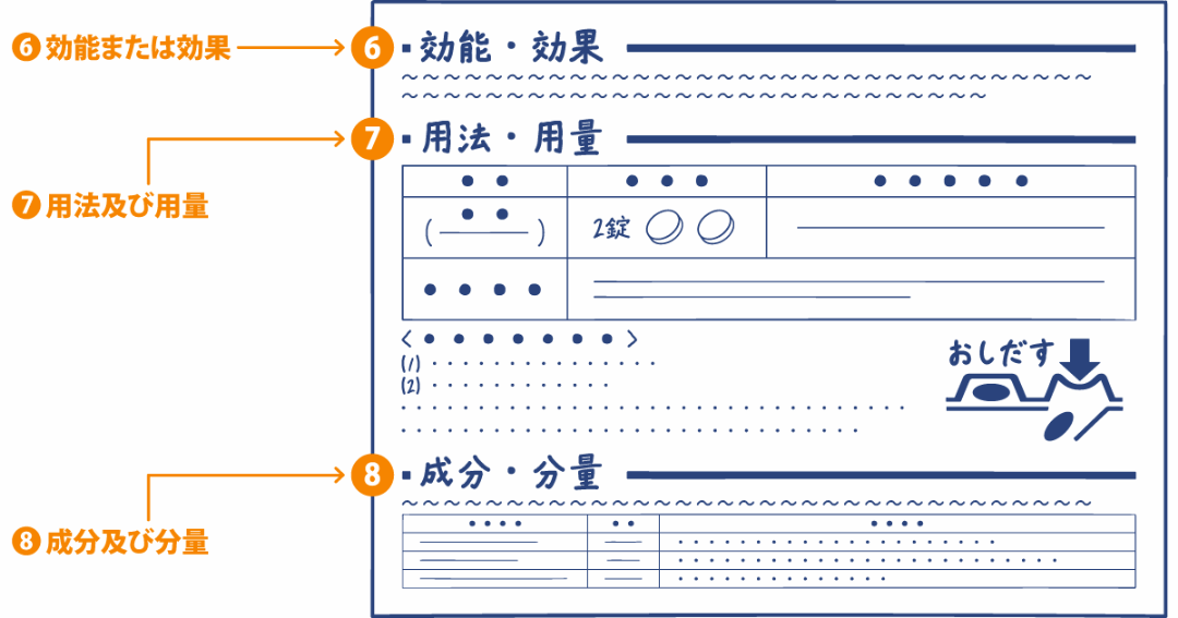 主な項目の説明イラスト