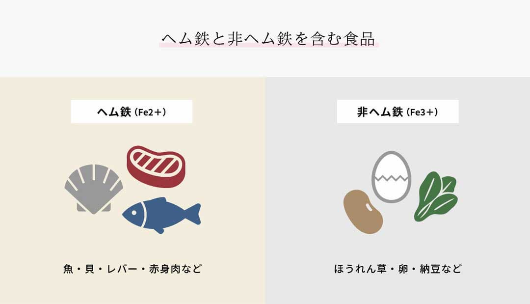 ヘム鉄と非ヘム鉄を含む食品 ヘム鉄:魚、貝、レバー、赤身肉など 非ヘム鉄:ほうれん草、卵、納豆など