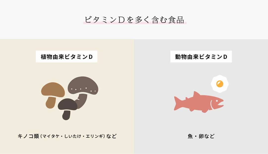 ビタミンDを多く含む食品植物由来ビタミンD:きのこ類など 動物由来ビタミンD:魚、卵など