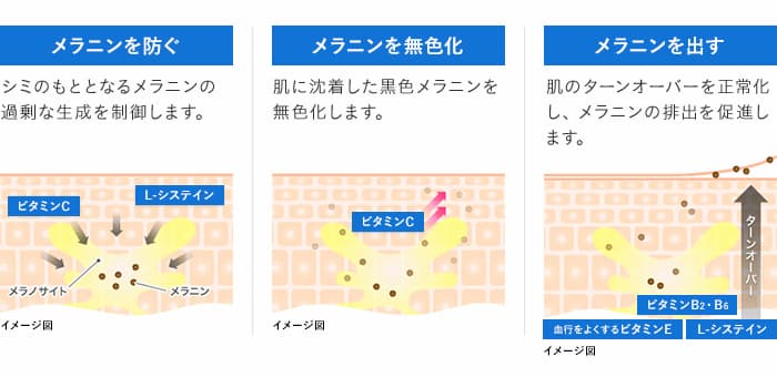 「トランシーノ ホワイトCクリア」による3つの働き(イメージ図)