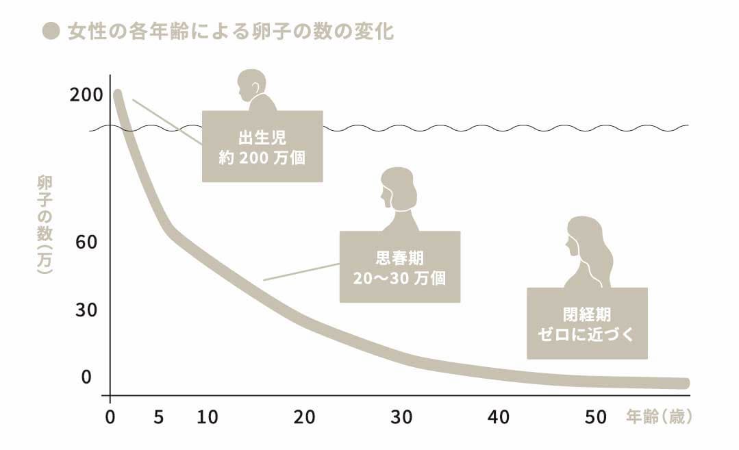 年齢による卵子の数の変化のグラフ
