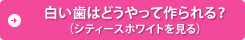 �������͂ǂ�����č����H�i�V�e�B�[�X�z���C�g������j