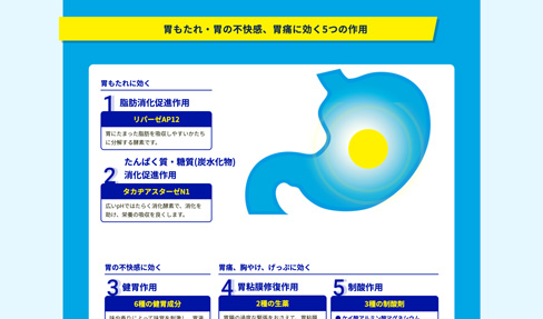 胃もたれ・胃の不快感、胃痛に効く5つの作用（ブランドサイト）