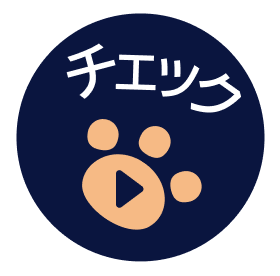 DNSの詳細を表示