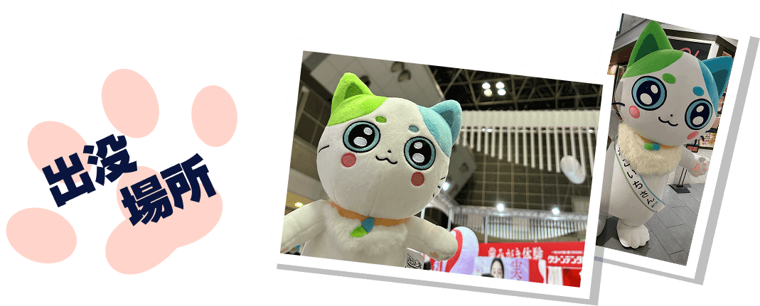 出没場所