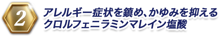 2 アレルギー症状を鎮め、かゆみを抑えるクロルフェニラミンマレイン塩酸