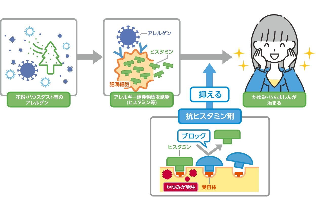 アレルギール錠が効くメカニズムをを示した図