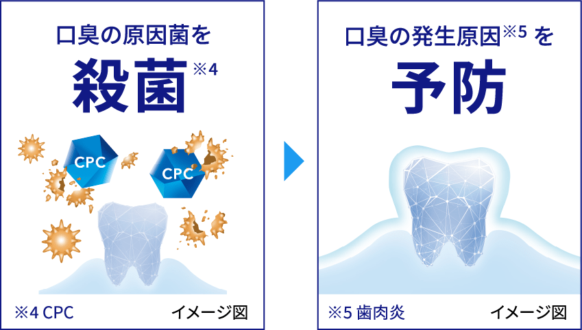 口臭の原因菌を殺菌※4 ※4 CPC イメージ図 口臭の発生原因※5を予防 ※5 歯肉炎 イメージ図