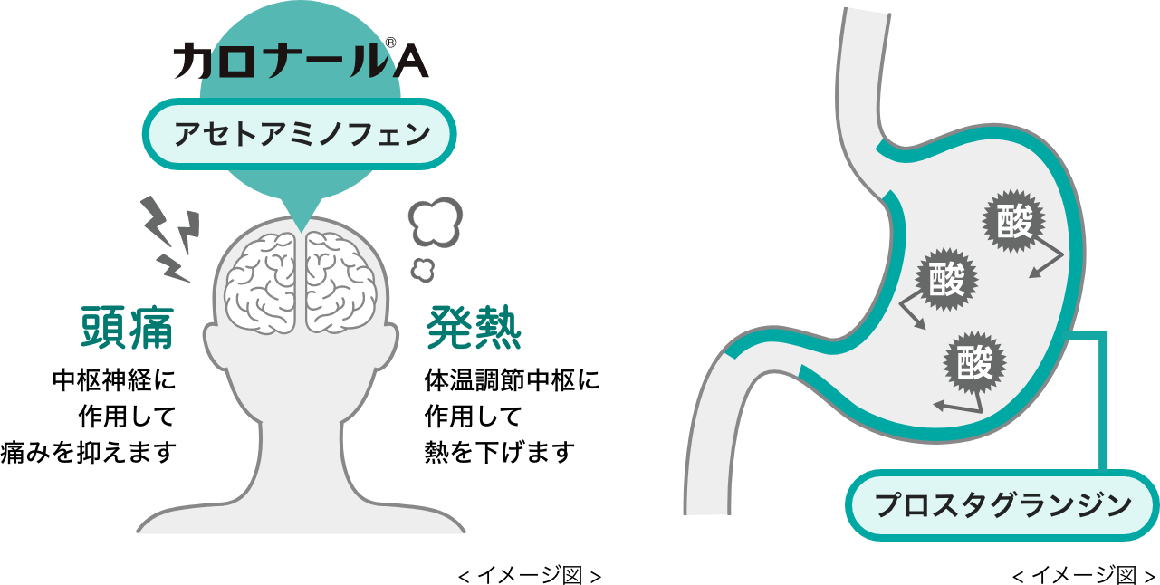 「頭痛・発熱への効きめ」と「胃へのやさしさ」の理由を表した図