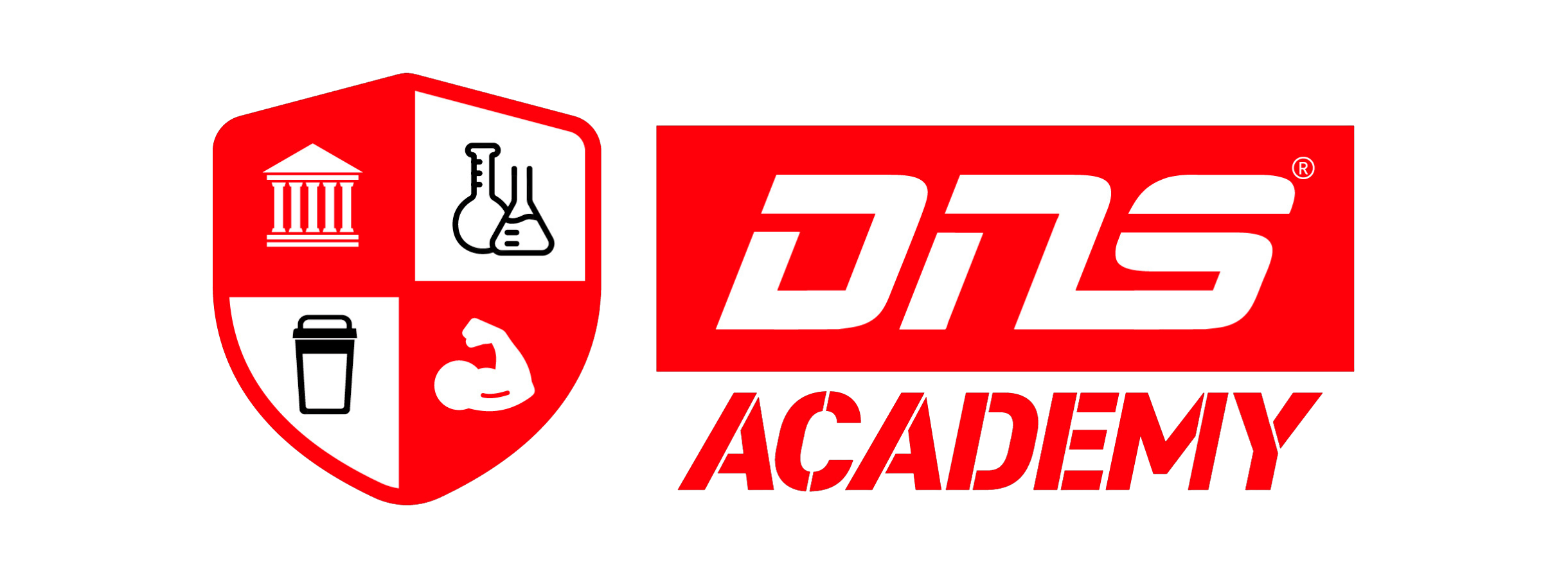 DNS ACADEMY