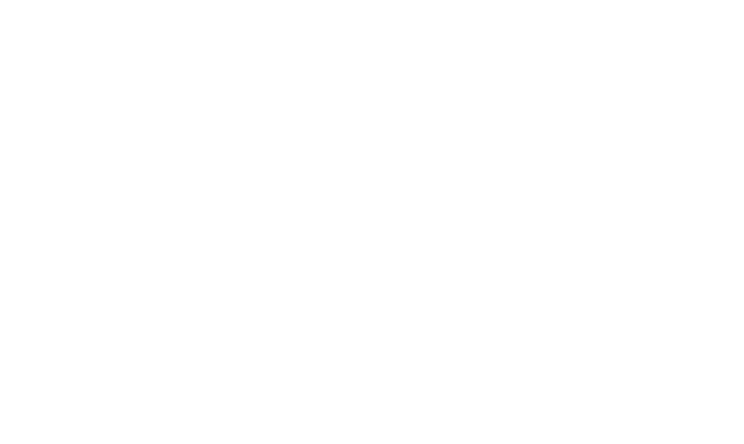 南野拓実選手 DNS応援 ダブルキャンペーン