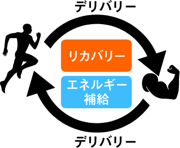 デリバリー、リカバリー、エネルギー補給