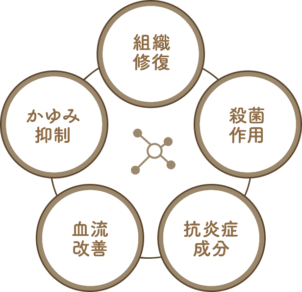 オイラックスシリーズの効果である組織修復、殺菌作用、抗炎症成分、血流改善、かゆみ抑制を示した図
