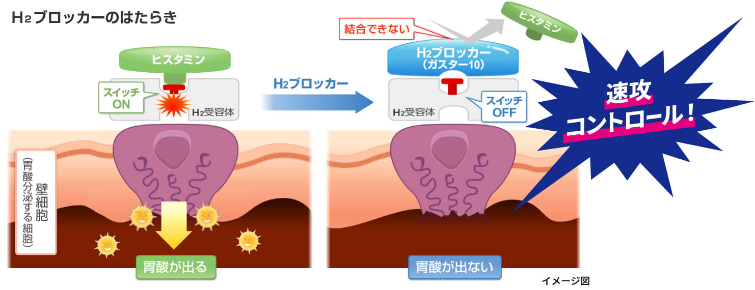 ガスター10の作用