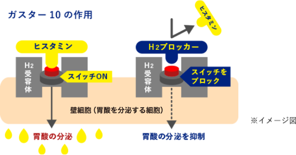 ガスター10の作用