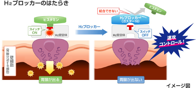 H2ブロッカーのはたらきイメージ図