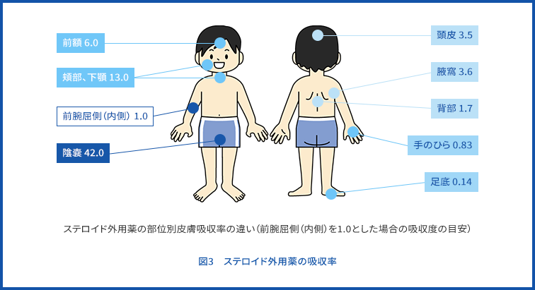 図3　ステロイド外用薬の吸収率