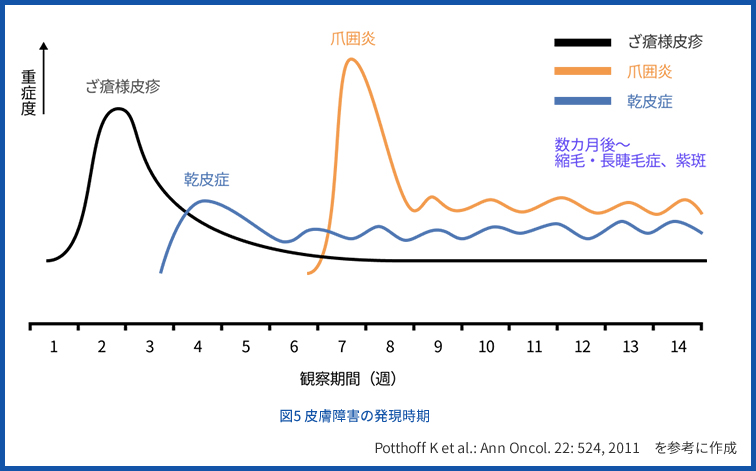 図5 皮膚障害の発現時期 山本先生提供