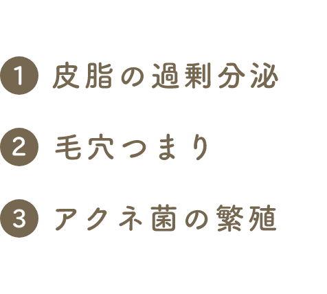 ニキビの原因は、主に3つ考えられます。