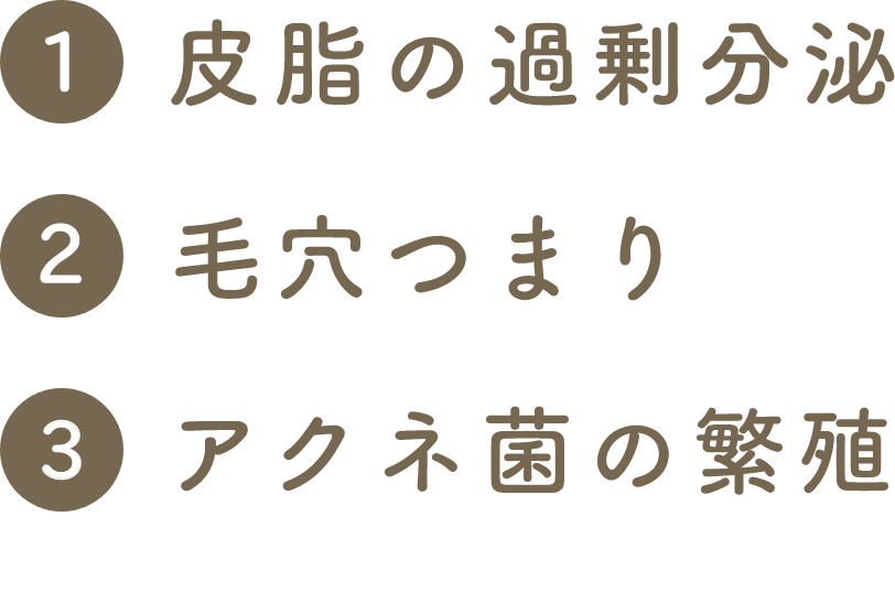 ニキビの原因は、主に3つ考えられます。