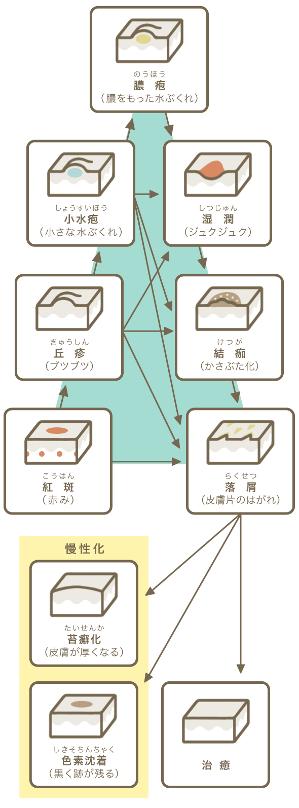 皮膚の症状はどのように進行していくの 皮膚q A一覧 ひふ研 ひふ症状 ひふ薬の使い方の疑問に答える情報サイト 第一三共ヘルスケア