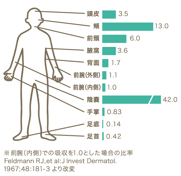 ヒトにおけるヒドロコルチゾンの部位別経皮吸収率