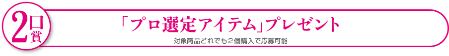 2口賞 「プロ選定アイテム」プレゼント