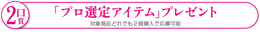 2口賞 「プロ選定アイテム」プレゼント