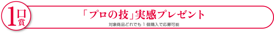 1口賞 「プロの技」実感プレゼント