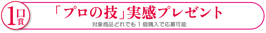 1口賞 「プロの技」実感プレゼント