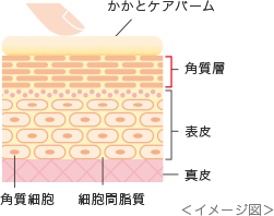 皮膚表面を覆い、水分を保持！/ナノ粒子が隙間に密着！/3つの肌脂質成分がしっかり浸透