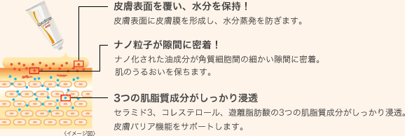 皮膚表面を覆い、水分を保持!/ナノ粒子が隙間に密着!/3つの肌脂質成分がしっかり浸透