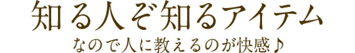 知る人ぞ知るアイテムなので人に教えるのが快感♪