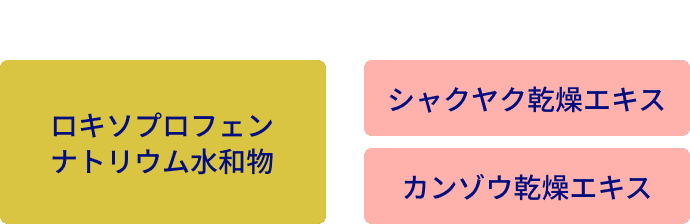 鎮静消炎成分ロキソプロフェンナトリウム水和物 + 2種の鎮静補助成分 シャクヤク乾燥エキス カンゾウ乾燥エキス