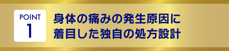 POINT1 身体の痛みの発生原因に着目した独自の処方設計