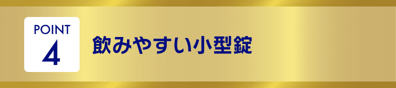 POINT4 飲みやすい小型錠