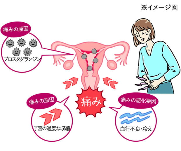 生理痛の仕組み