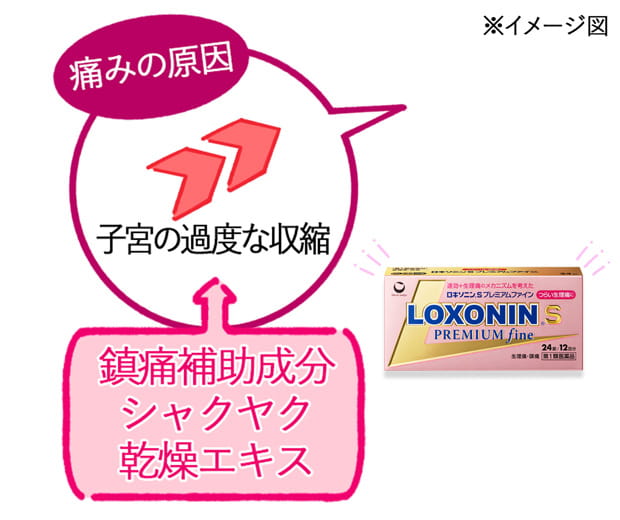 子宮の過度な収縮を抑え、痛みを和らげる「シャクヤク乾燥エキス」