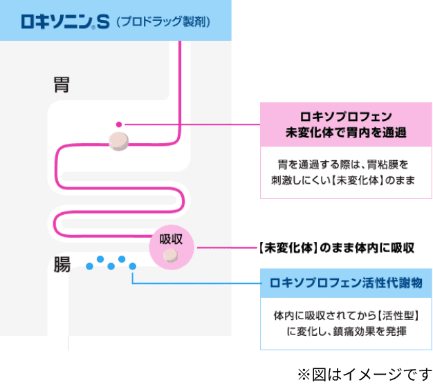 ロキソニンSは胃粘膜を刺激しにくい未変化体のまま胃を通過し、体内に吸収されてから活性型に変化して鎮痛効果を発揮します。※図はイメージです