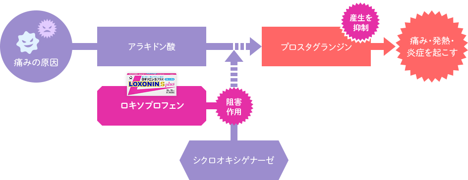 痛み発生のメカニズムとロキソプロフェンナトリウム水和物の作用