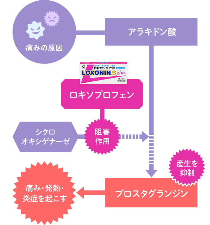 痛み発生のメカニズムとロキソプロフェンナトリウム水和物の作用