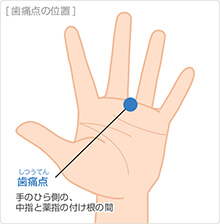 歯痛点（しつうてん）手のひら側の中指と薬指の付け根の間