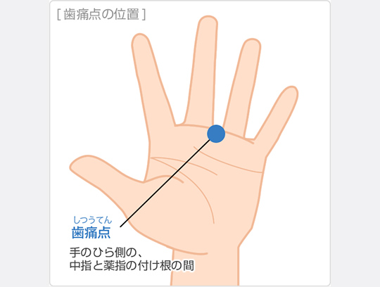 歯痛点（しつうてん）手のひら側の中指と薬指の付け根の間