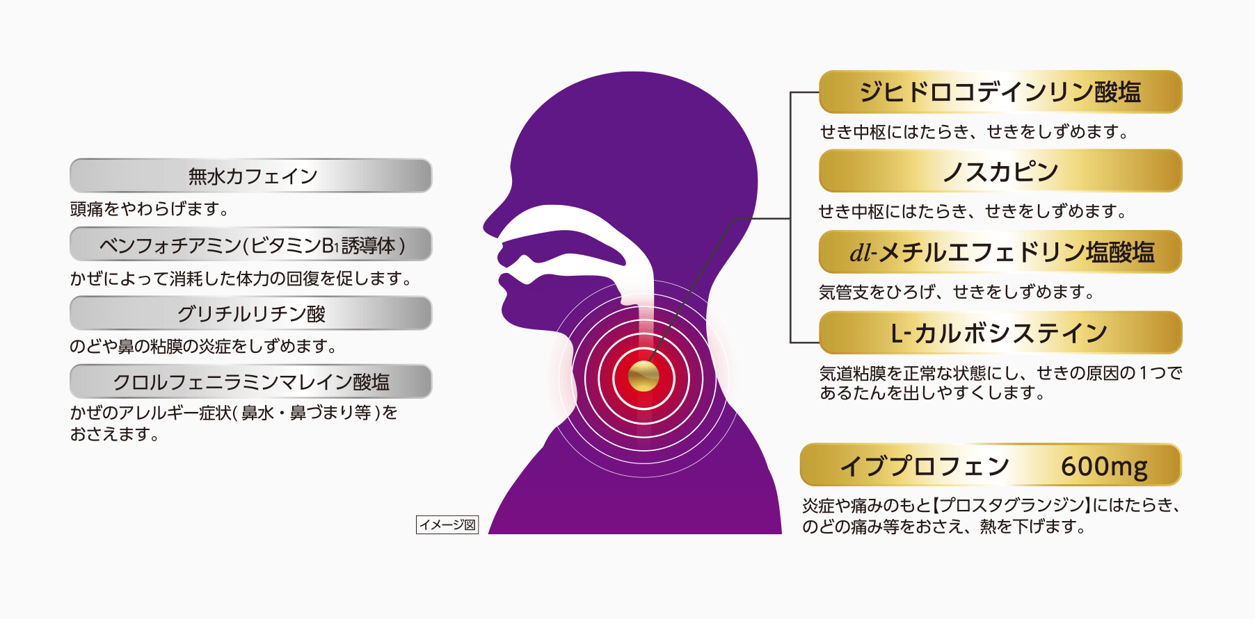 ジヒドロコデインリン酸塩 せき中枢にはたらき、せきをしずめます。 ノスカピン せき中枢にはたらき、せきをしずめます。 dl-メチルエフェドリン塩酸塩 気管支をひろげ、せきをしずめます。 L-カルボシステイン 気道粘膜を正常な状態にし、せきの原因の1つであるたんを出しやすくします。 イブプロフェン 600mg 炎症や痛みのもと【プロスタグランジン】にはたらき、のどの痛み等をおさえ、熱を下げます。 無水カフェイン 頭痛をやわらげます。 ベンフォチアミン（ビタミンB1誘導体） かぜによって消耗した体力の回復を促します。　グリチルリチン酸 のどや鼻の粘膜の炎症をしずめます。 クロルフェニラミンマレイン酸塩 かぜのアレルギー症状（鼻水、鼻づまり等）をおさえます。