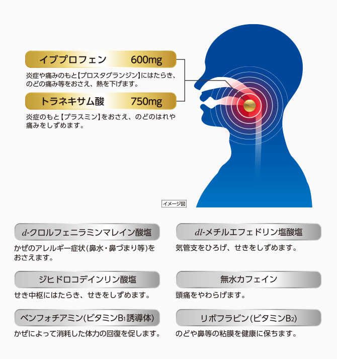 イブプロフェン 600mg 炎症や痛みのもと【プロスタグランジン】にはたらき、のどの痛み等をおさえ、熱を下げます。 トラネキサム酸 750mg 炎症のもと【プラスミン】をおさえ、のどのはれや痛みをしずめます。 d-クロルフェニラミンマレイン酸塩 かぜのアレルギー症状（鼻水・鼻づまり等）をおさえます。 dl-メチルエフェドリン塩酸塩 気管支をひろげ、せきをしずめます。 ジヒドロコデインリン酸塩 せき中枢位にはたらき、せきをしずめます。 無水カフェイン 頭痛をやわらげます。 ベンフォチアミン（ビタミンB1誘導体） かぜによって消耗した体力の回復を促します。 リボフラビン（ビタミンB2） のどや鼻等の粘膜を健康に保ちます。