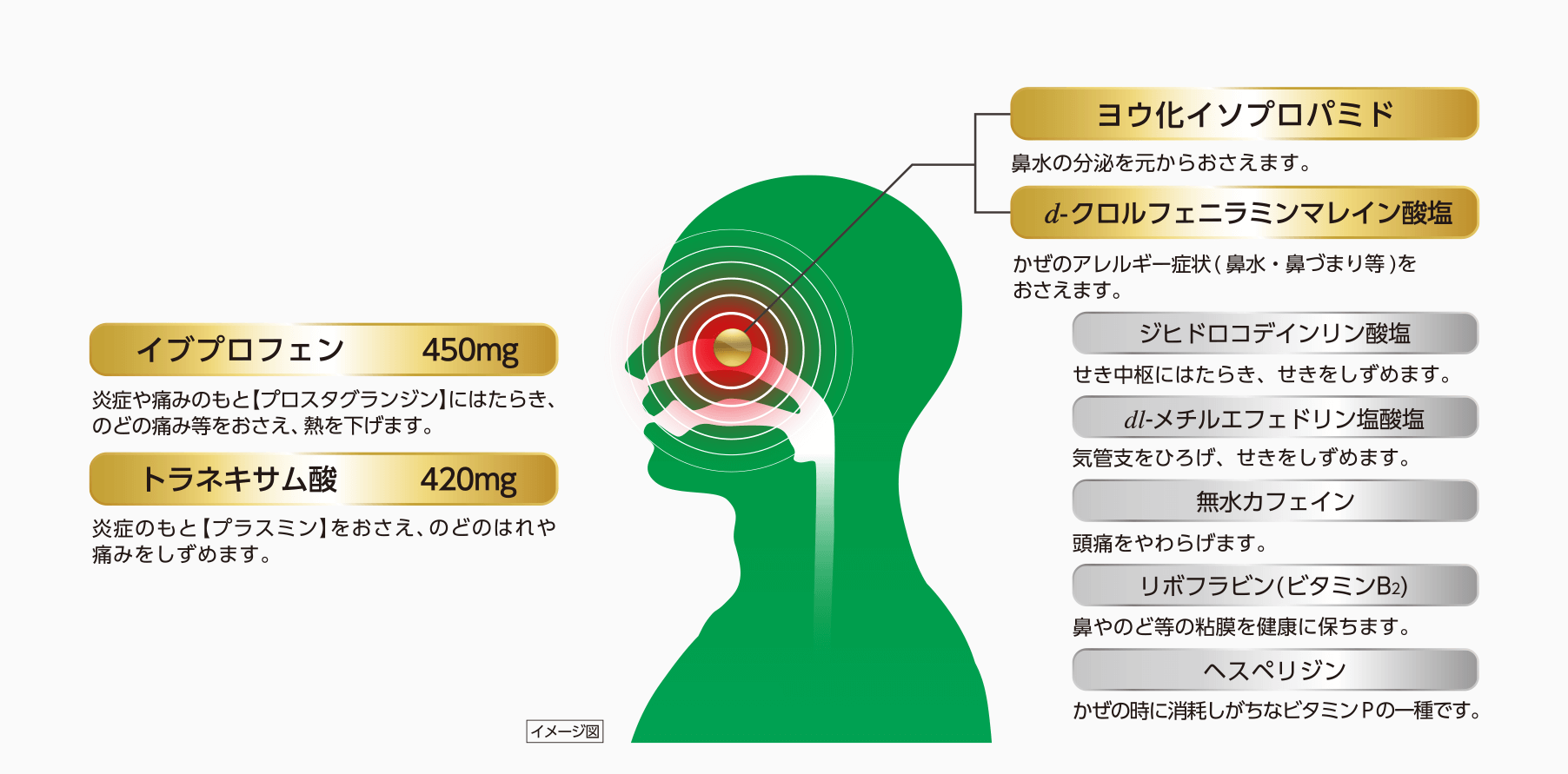 イブプロフェン 450mg 炎症や痛みのもと【プロスタグランジン】にはたらき、のどの痛み等をおさえ、熱を下げます。 トラネキサム酸 420mg 炎症のもと【プラスミン】をおさえ、のどのはれや痛みをしずめます。 ヨウ化イソプロパミド 鼻水の分泌を元からおさえます。 d-クロルフェニラミンマレイン酸塩 かぜのアレルギー症状（鼻水・鼻づまり等）をおさえます。 ジヒドロコデインリン酸塩 せき中枢にはたらき、せきをしずめます。 dl-メチルエフェドリン塩酸塩 気管支をひろげ、せきをしずめます。 無水カフェイン 頭痛をやわらげます。 リボフラビン（ビタミンB2） 鼻やのど等の粘膜を健康に保ちます。 ヘスペリジン かぜの時に消耗しがちなビタミンPの一種です。