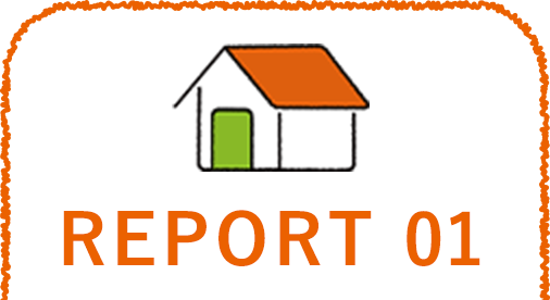 REPORT 01