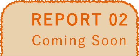 REPORT 02 Coming Soon